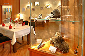 Vitrine mit Mineralien